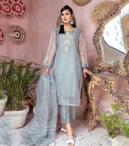 Main Recommended Title: Elegant Pastel Blue Heavy Embroidered 3-Piece Organza Suit | Kurta, Trouser & Dupatta